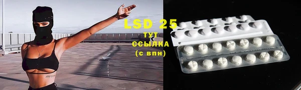 PSILOCYBIN Алексеевка