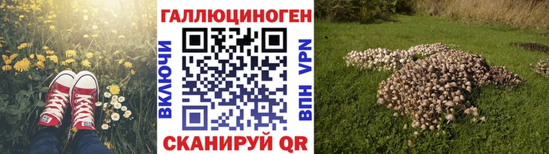 Галлюциногенные грибы Psilocybine cubensis  Ковылкино 